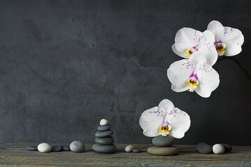 Pyramid of stones and orchid flowers on a gray background