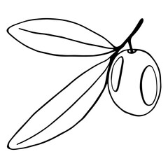 Black and white illustration of olive branch.