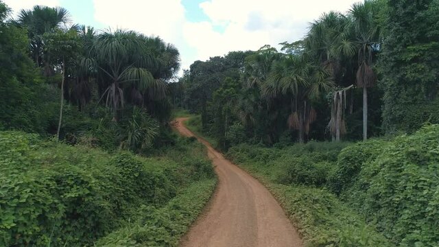 Volando sobre un camino de tierra en la selva peruana