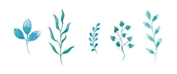 Fototapeta na wymiar Watercolor set of vegetable elements, blue-green twigs with leaves on a white background. Illustration for design, cards, business cards, wedding invitations.