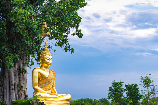 The golden buddha statue under the big tree in public place of Thailand.