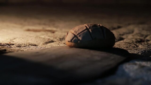 chocolate-covered concha, Mexican bread made in a stone oven