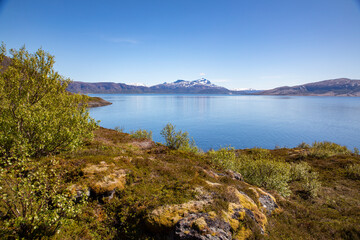 Hike Sor Kvaloya around in great weather, Sømna municipality, Northern Norway