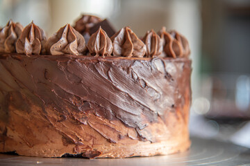 Close up on beautifully decorated and presented chocolate fudge cake with stunning topping. 