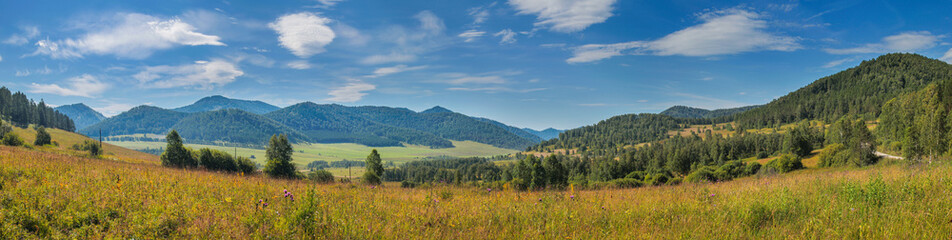 Fototapeta na wymiar Panoramic view of a mountain valley. Meadow in the foreground, blue sky with clouds. Summer landscape.