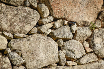 stone wall texture