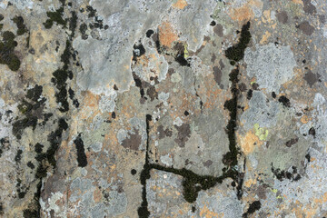 Natural stone texture with green moss in Carpathian mountains