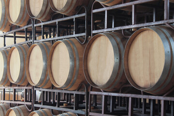 Bodega de barricas de vino