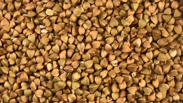 Green Raw Dried Buckwheat Close-up Rotates Clockwise