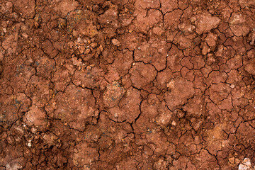 Texture of dried cracked clay. Macro background image of dried clay