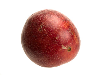Tropical passion fruit creeper isolated object
