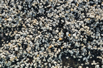 Background image of small black and white round pebbles