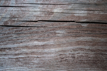 Fototapeta premium Detailed texture of an aged wooden board