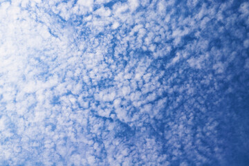 Fototapeta na wymiar 真っ青な空に浮かぶうろこ雲　背景素材