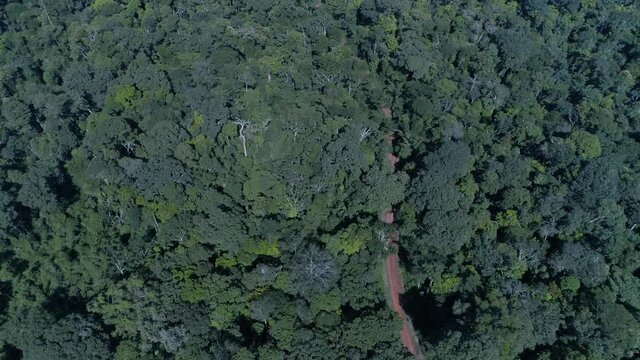 Vista senital desde drone de selva peruana