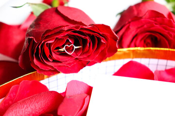 greeting card. bouquet of red roses on a white background and space for text. congratulation. invitation