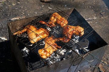 grill with barbecue wings. The concept of picnic and rest.