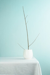 white ceramic tea cup with wood branch on table interior decoration with light green blue wall background