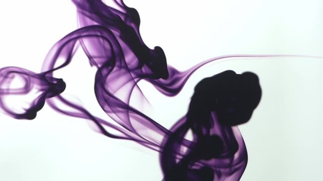 Movement of purple ink drops paint in water. Close-up ink in water. Close-up shot of a drop ink in liquid.