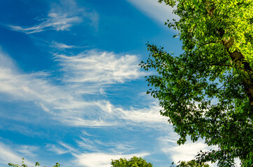 White clouds against a blue sky.