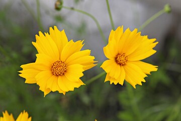 한국 경기도 시흥시 갯골생태공원 입니다