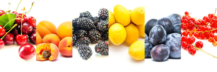 collage of assorted fruits on white background