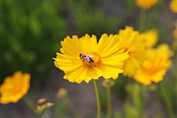 한국 경기도 시흥시 갯골생태공원 입니다