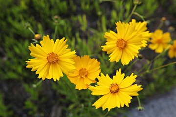 한국 경기도 시흥시 갯골생태공원 입니다