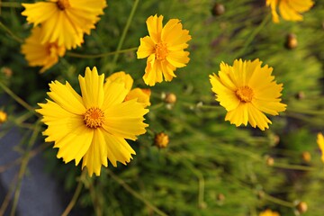 한국 경기도 시흥시 갯골생태공원 입니다