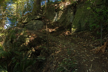 Obraz premium Waitomo walkway near Waitomo in Waikato region on North Island of New Zealand 