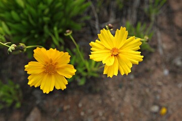 한국 경기도 시흥시 갯골생태공원 입니다