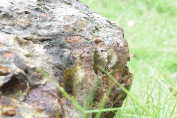 rock 