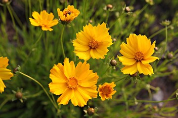 한국 경기도 시흥시 갯골생태공원 입니다