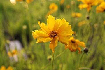한국 경기도 시흥시 갯골생태공원 입니다
