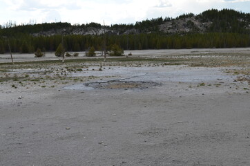 Late Spring in Yellowstone National Park: Dry Palpitator Spring in the Back Basin Area of Norris Geyser Basin