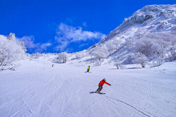 Fototapeta na wymiar 真冬のゲレンデを滑走するスキーヤー達 