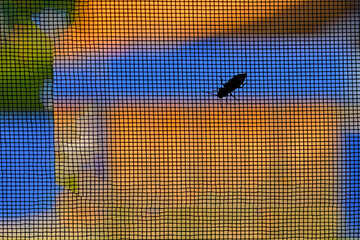 Background-anti-mosquito net with a bug on the outer surface