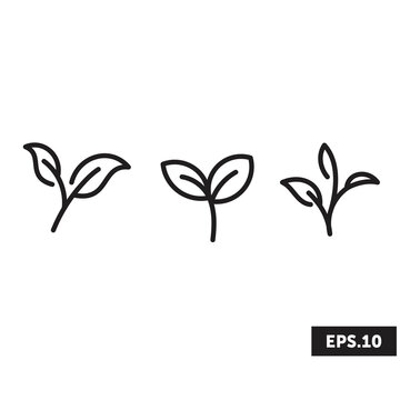 Leaf Tea icon logo, Leaf Tea Sign/Symbol vector