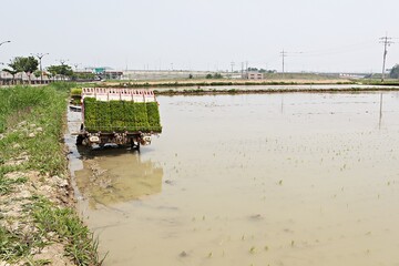 Obraz premium 한국 경기도 시흥시 갯골생태공원 입니다