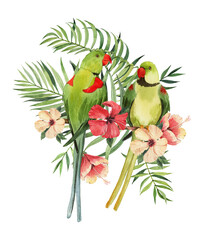 Print with beautiful watercolor parrots and tropical leaves. Tropics. Realistic tropical leaves. Tropical birds. - 353996361