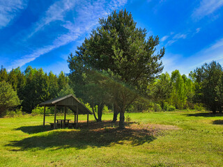 Altana w lesie © michalsen