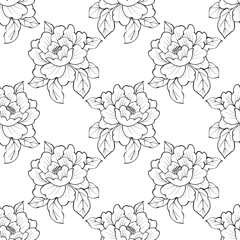 Elegance seamless pattern with flower peony. Black and white line illustration