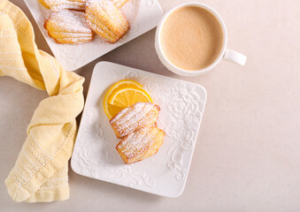 Lemon madeleines with powdered sugar