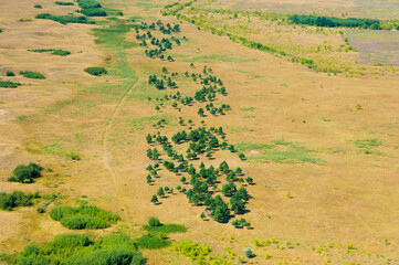 Fototapeta na wymiar Fields and meadows. Aerial view. Landscape.