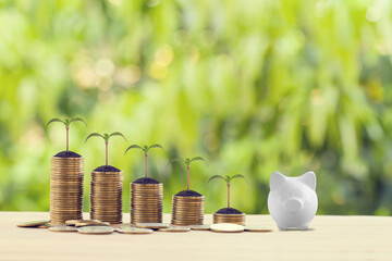 White piggy bank with green sprout on rows of increasing coins on wood table. Financial, growth...
