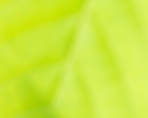 The blurred filter of green leaf