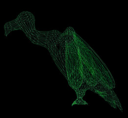 Wireframe polygonal vulture