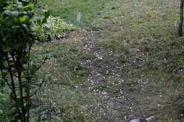 weather disaster in the spring