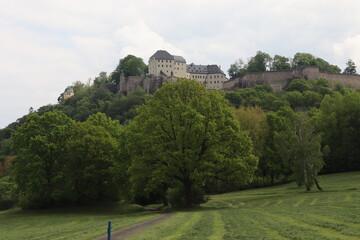 Blick zur Festung Königstein