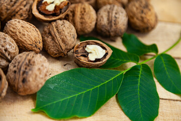 Walnuts and leaves